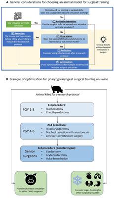 Teachers should apply the principle of reduction for more sustainable surgical simulation practice: the example of training pharyngolaryngeal surgery in a porcine model